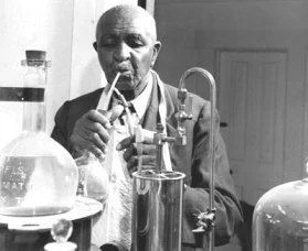 e406e10be164c1ff6f09374bb364660f--george-washington-carver-the-peanuts.jpg