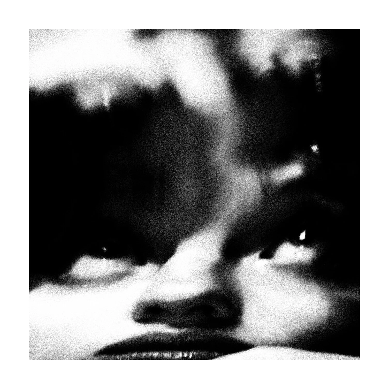Whitagram-Image.jpeg