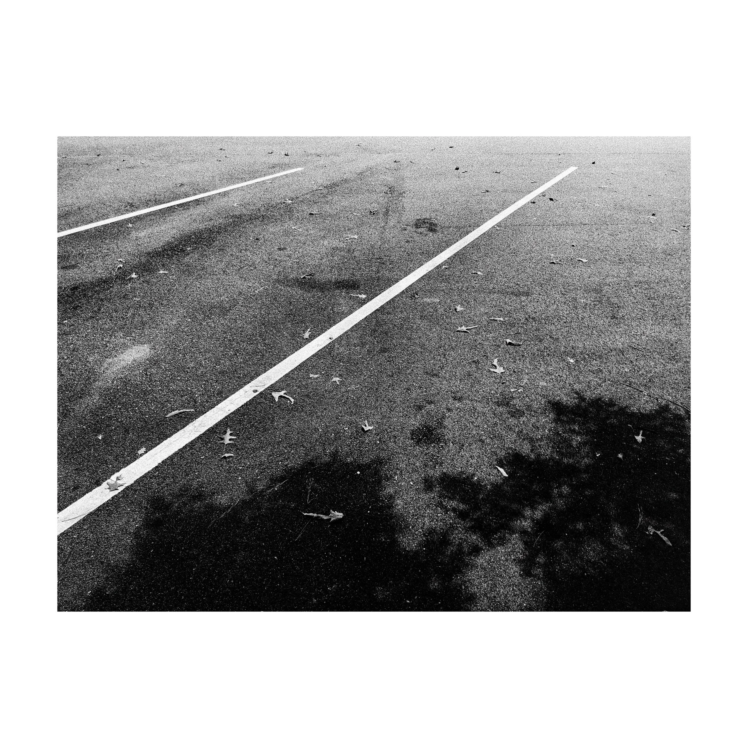 Whitagram-Image.jpeg