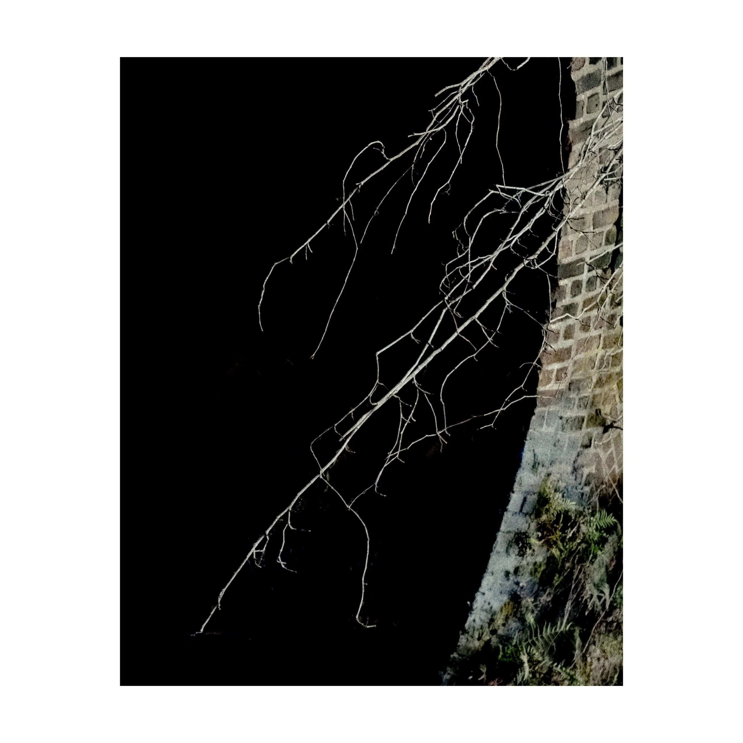 Whitagram-Image.jpeg
