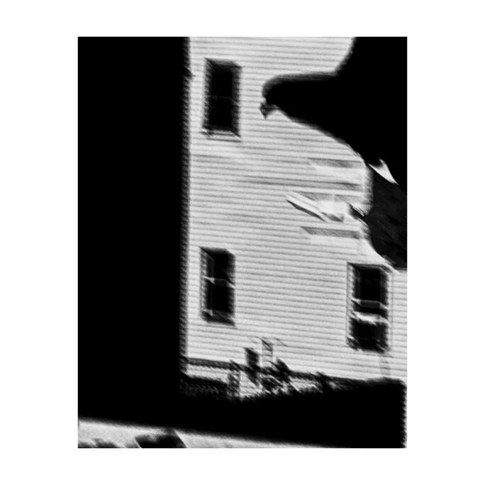 Whitagram-Image.jpeg