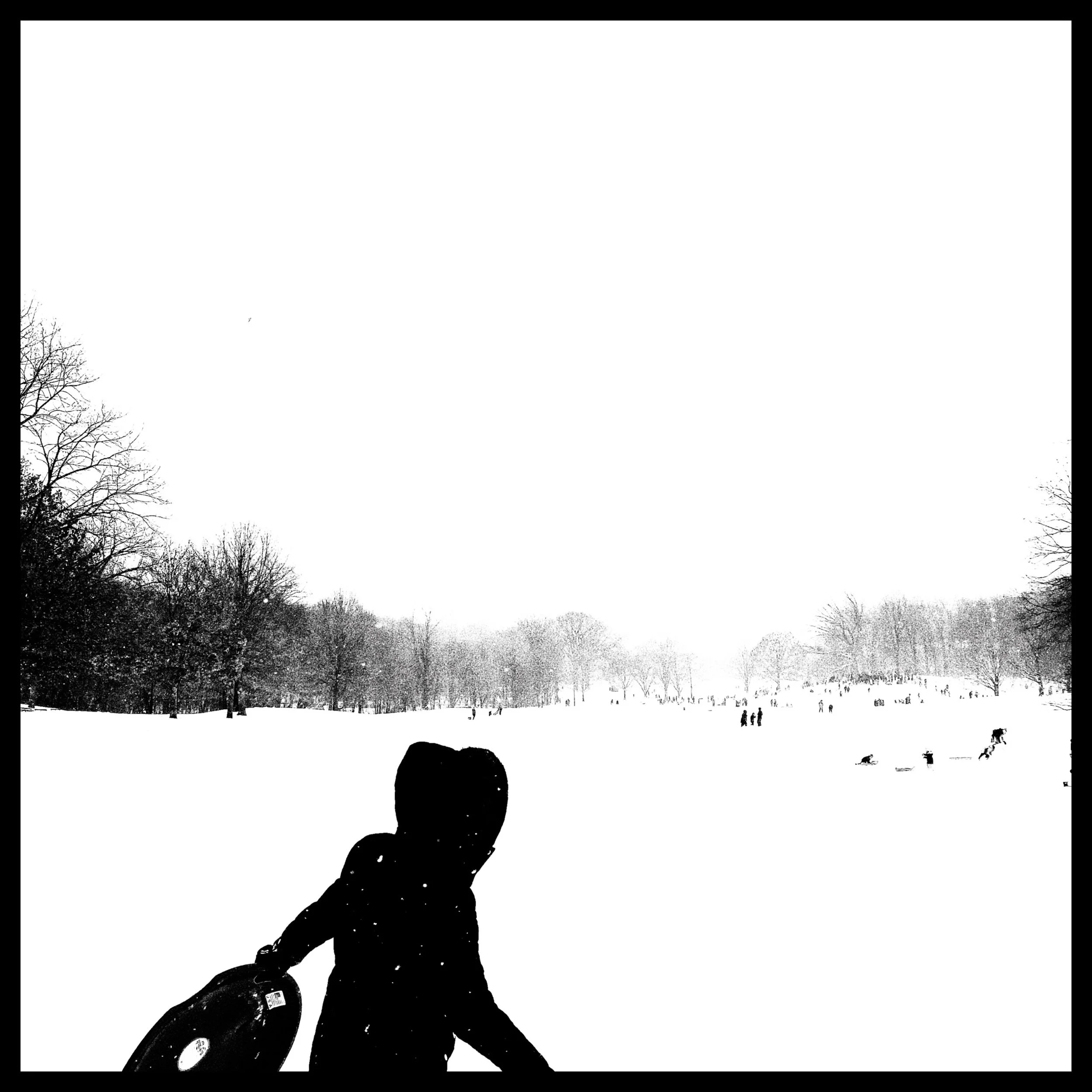 Whitagram-Image.jpeg