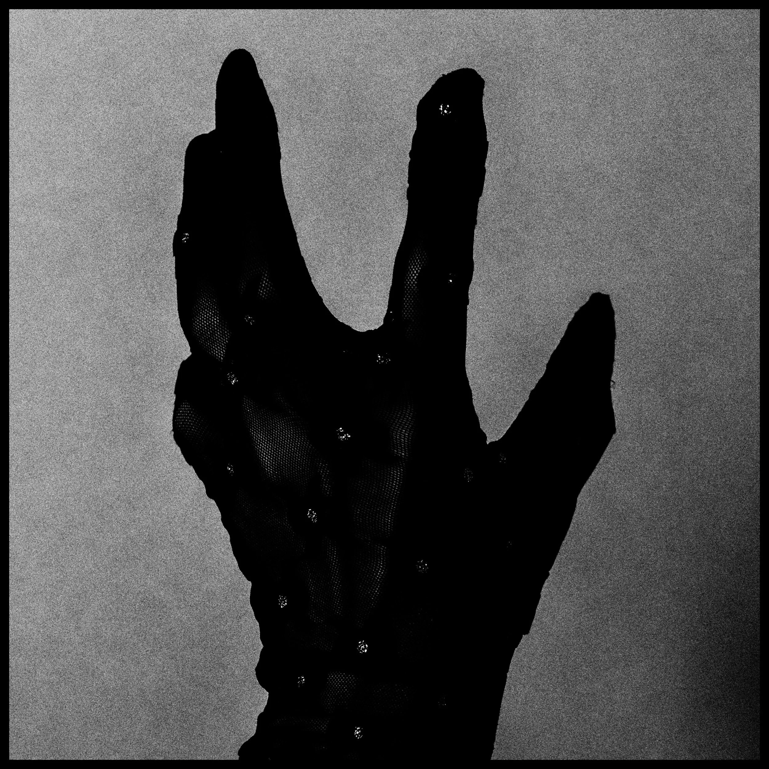Whitagram-Image.jpeg