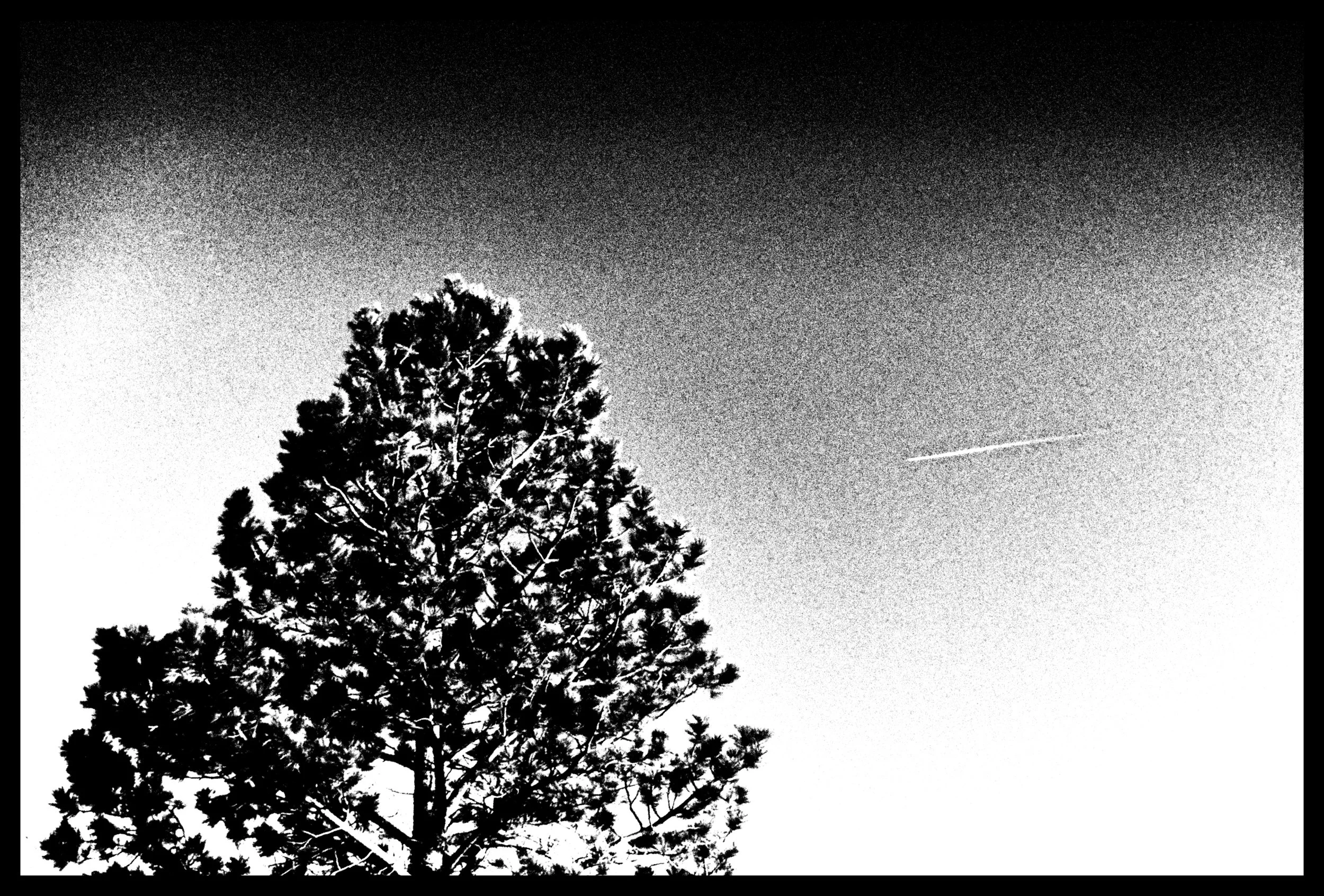 Estes Park Wedding-2613.jpg