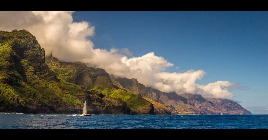 ☀️ Dive into adventure! Discover the best winter tours in Hawai&lsquo;i and make memories in the sun! 🌊🐢