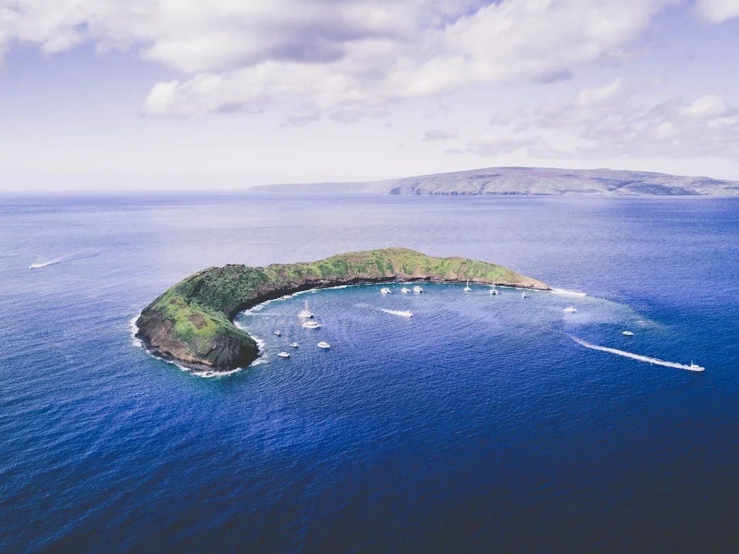 🐢 Dive into adventure! Explore the best snorkeling spots in Hawai&lsquo;i and create memories that will warm your heart this winter! 🌴✨