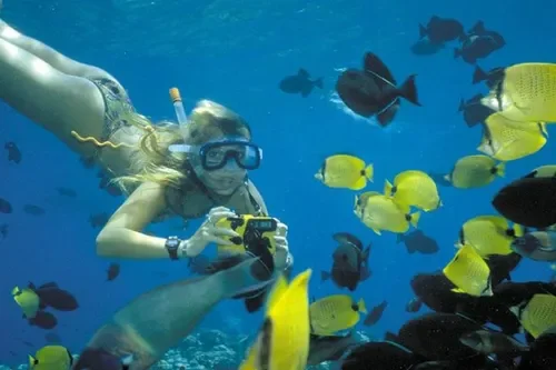Snorkel Lānaʻi: Ultimate vs. Quicksilver – Which Maui Snorkeling Tour Is Right for You?