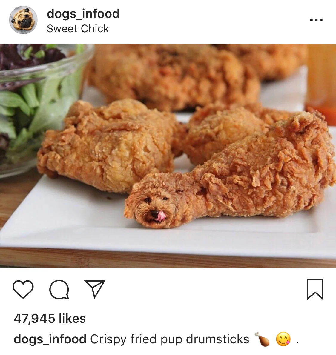 Image Source : @dogs_infood