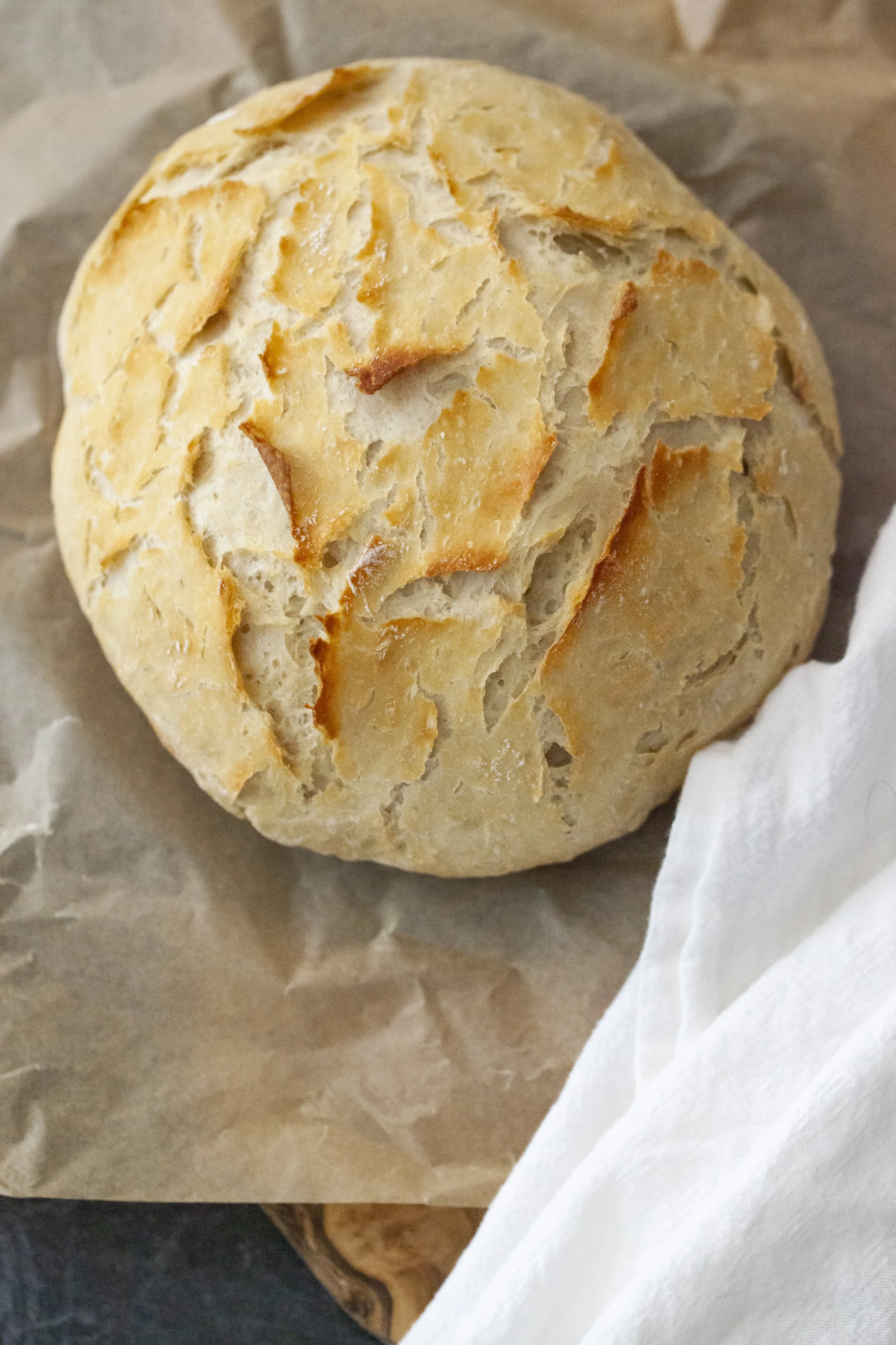 No-Knead Bread or Pizza