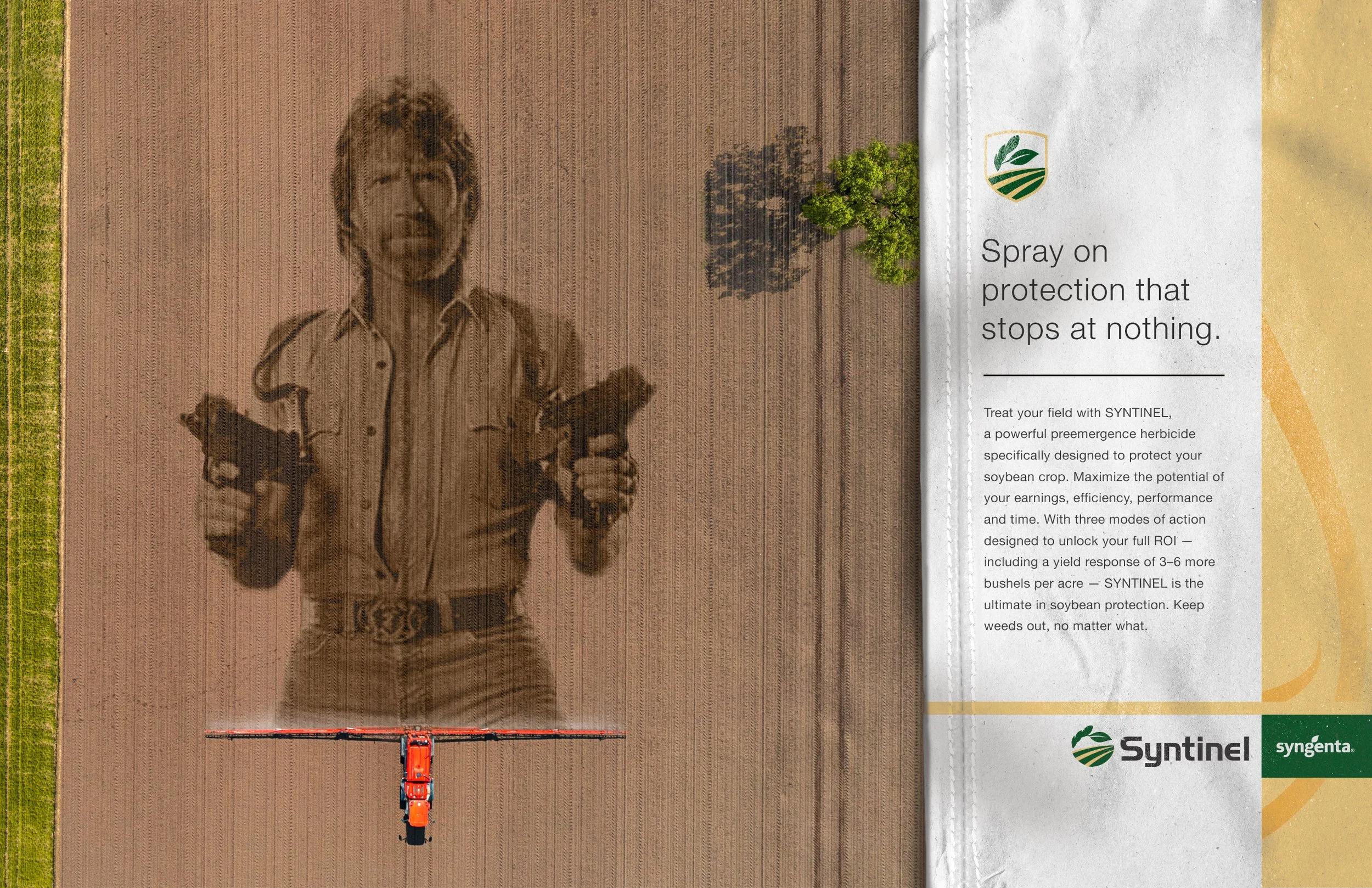 Chuck Norris (merged).jpg