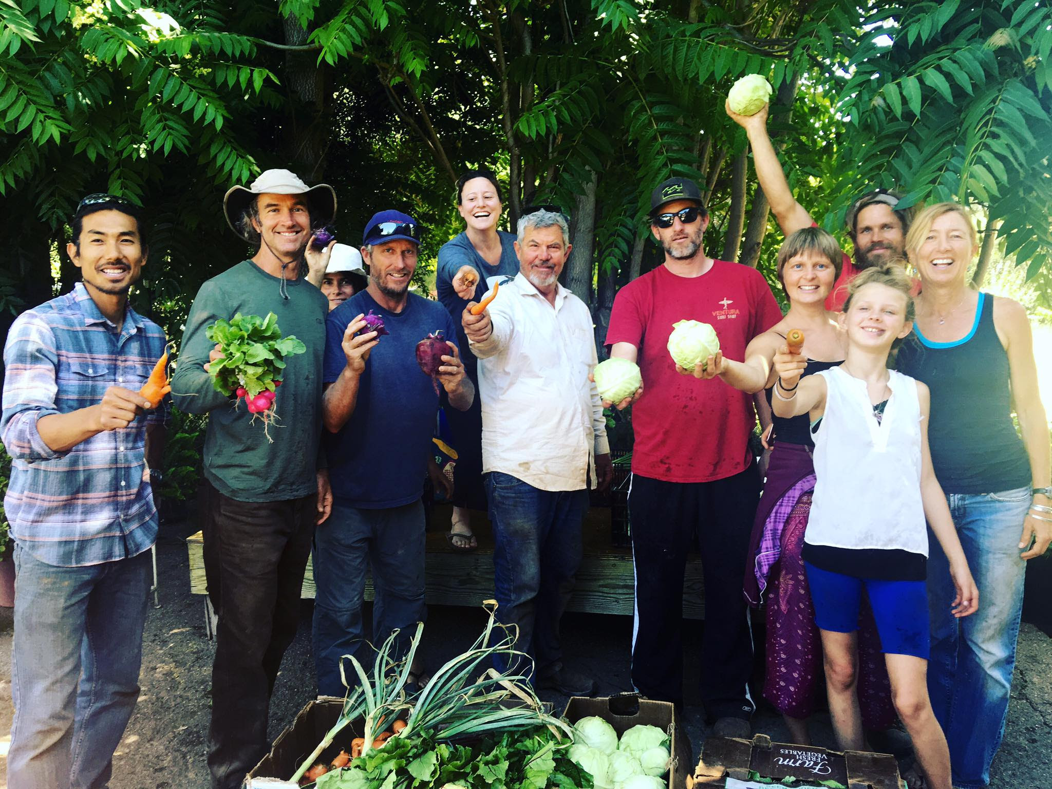 CSA volunteer crew for Farmer & the Cook Organic Market/Del Pueblo Farm, Ojai, CA
