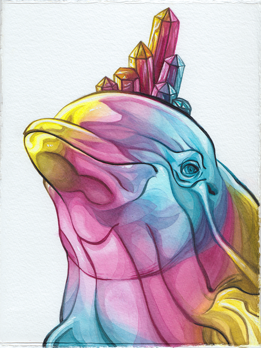 dolphin final full color.PNG