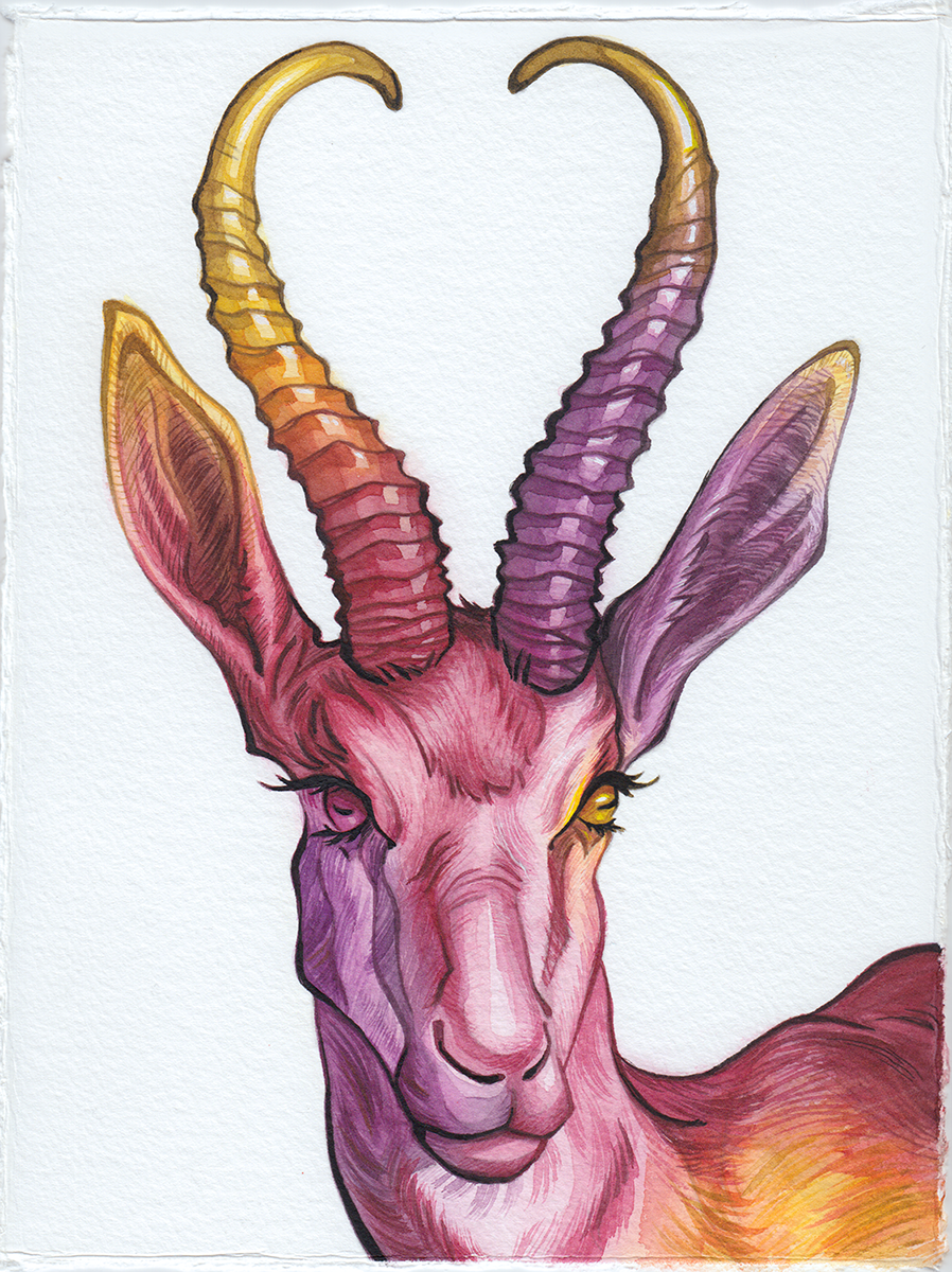 spring bok final full color.PNG