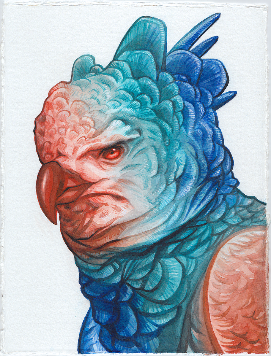 harpyegal final full color.PNG