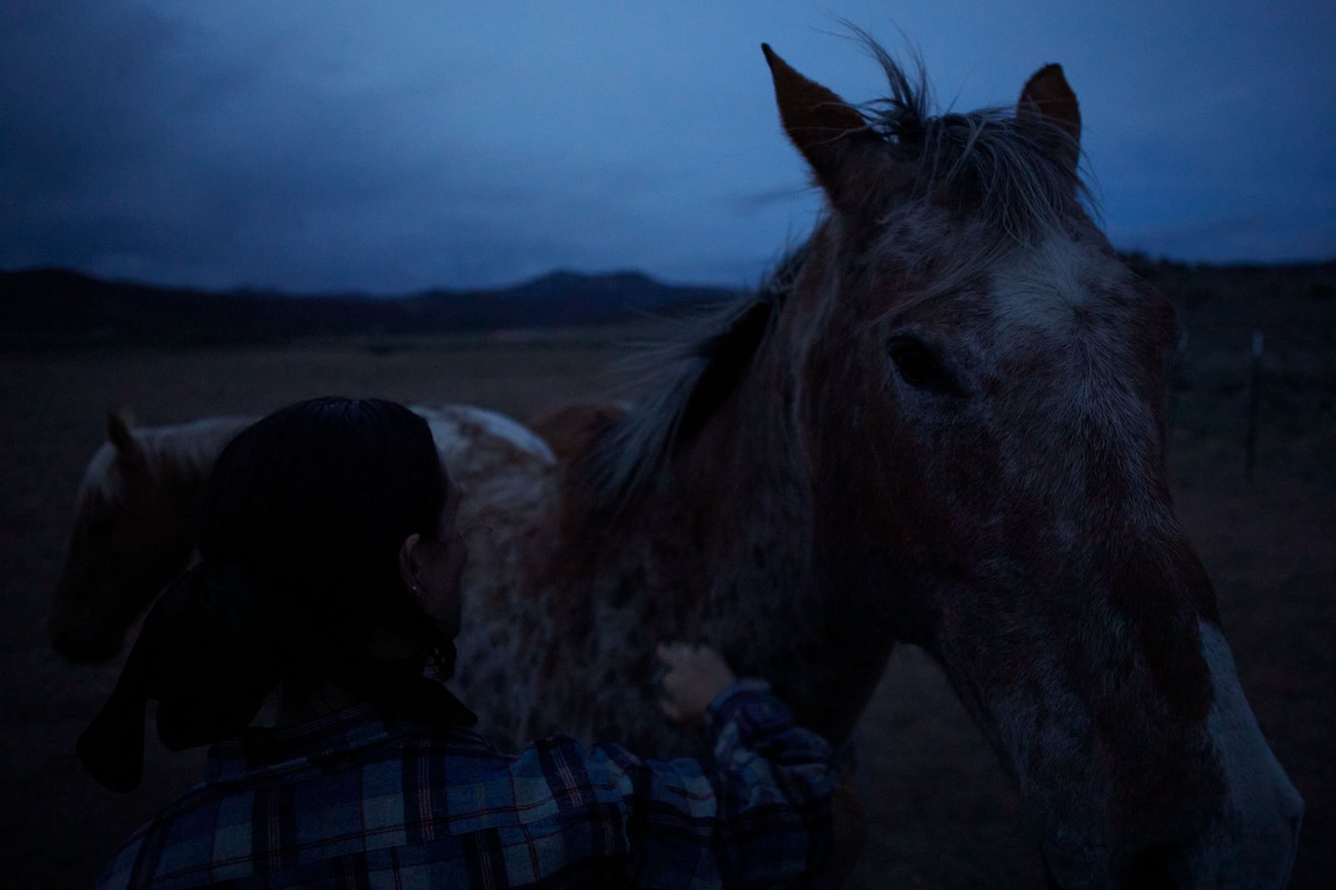 Appaloosa – Homestead on the Range