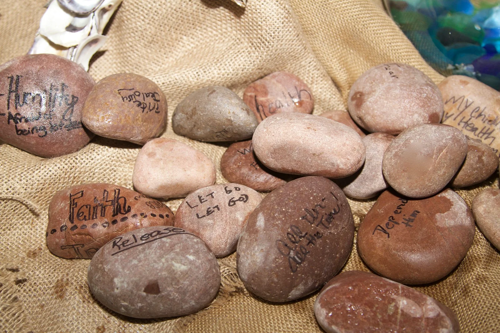 IMG_7295-X3.jpg