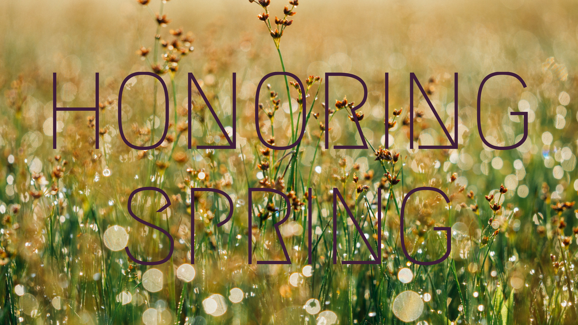 Honoring Spring 
