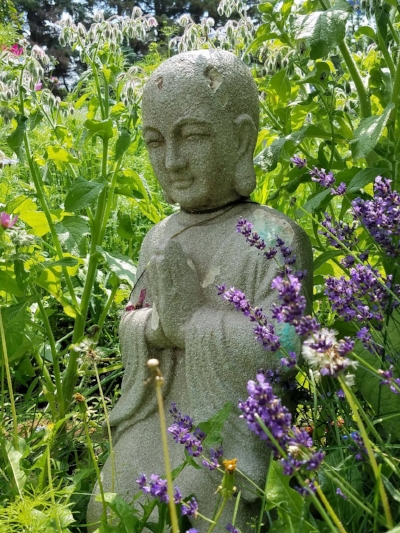 buddha in the garden.jpeg
