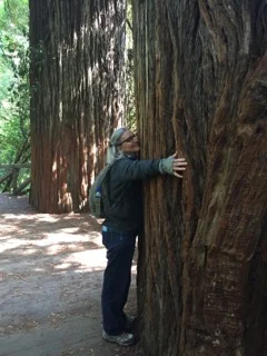 Hugging a redwood... so THIS is what being grounded feels like!