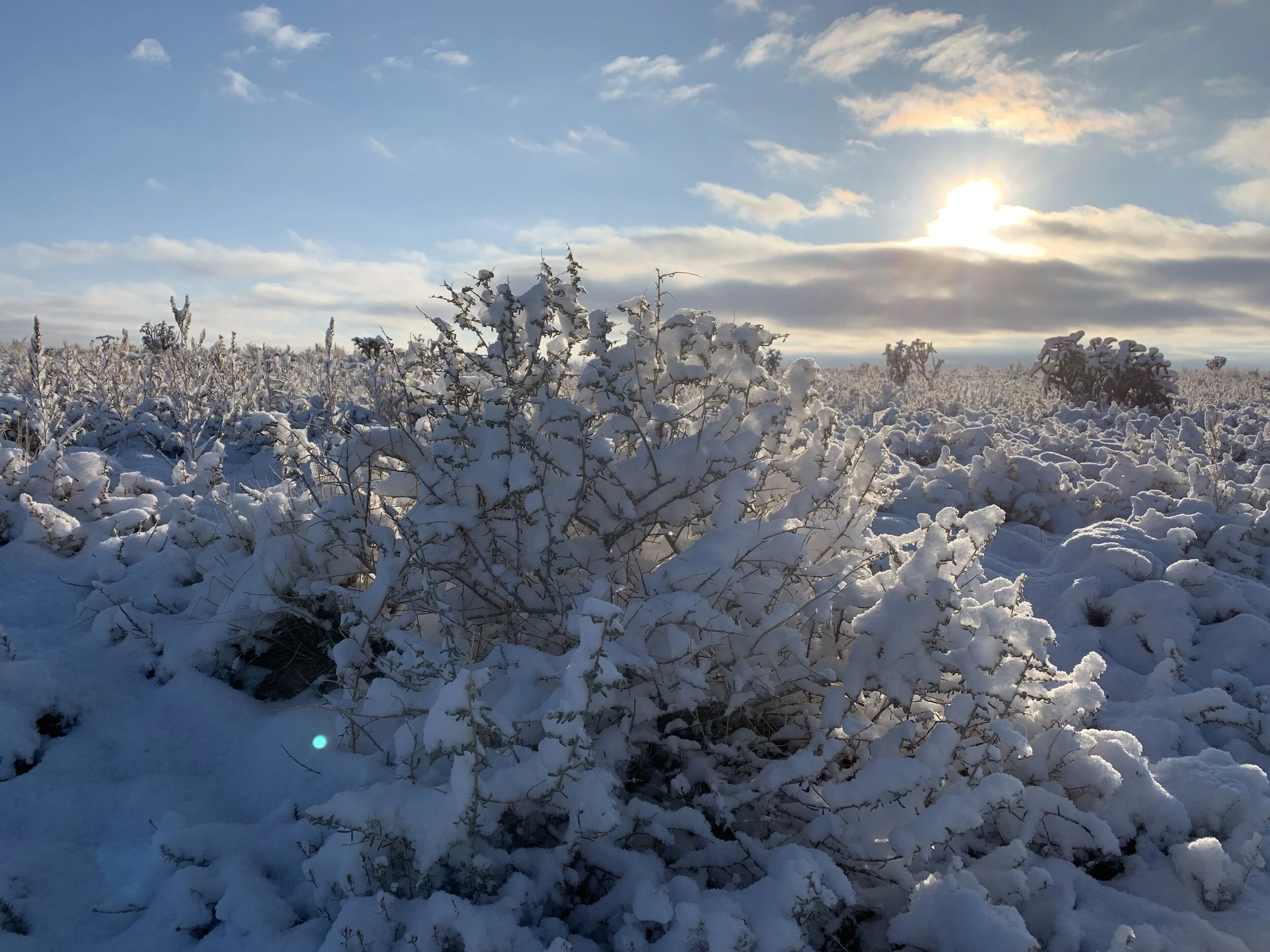 Winter Solstice Meditation