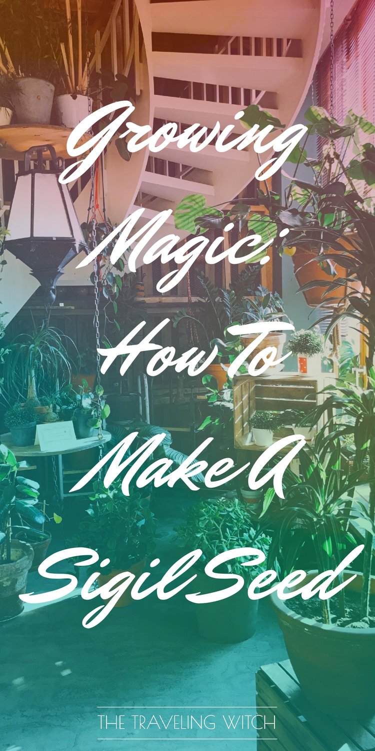 Growing Magic: How To Make A Sigil Seed // Witchcraft // Magic // The Traveling Witch