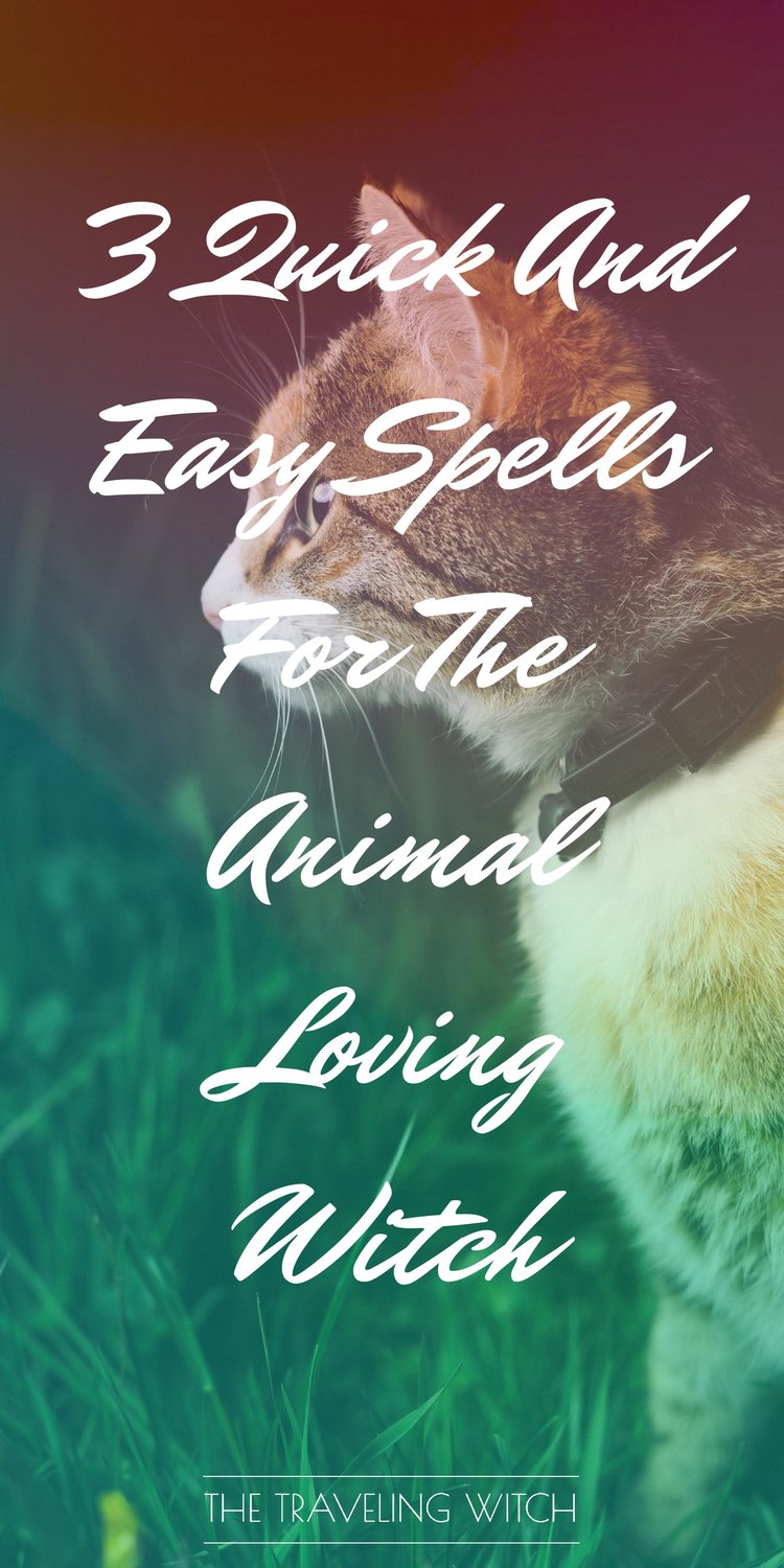 3 Quick And Easy Spells For The Animal Loving Witch // Witchcraft // Magic // The Traveling Witch