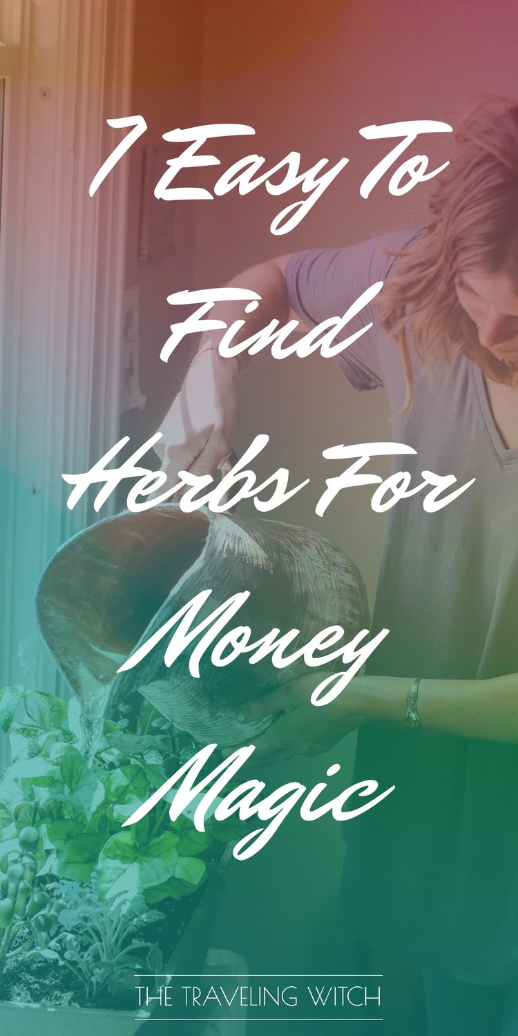 7 Easy To Find Herbs For Money Magic by The Traveling Witch