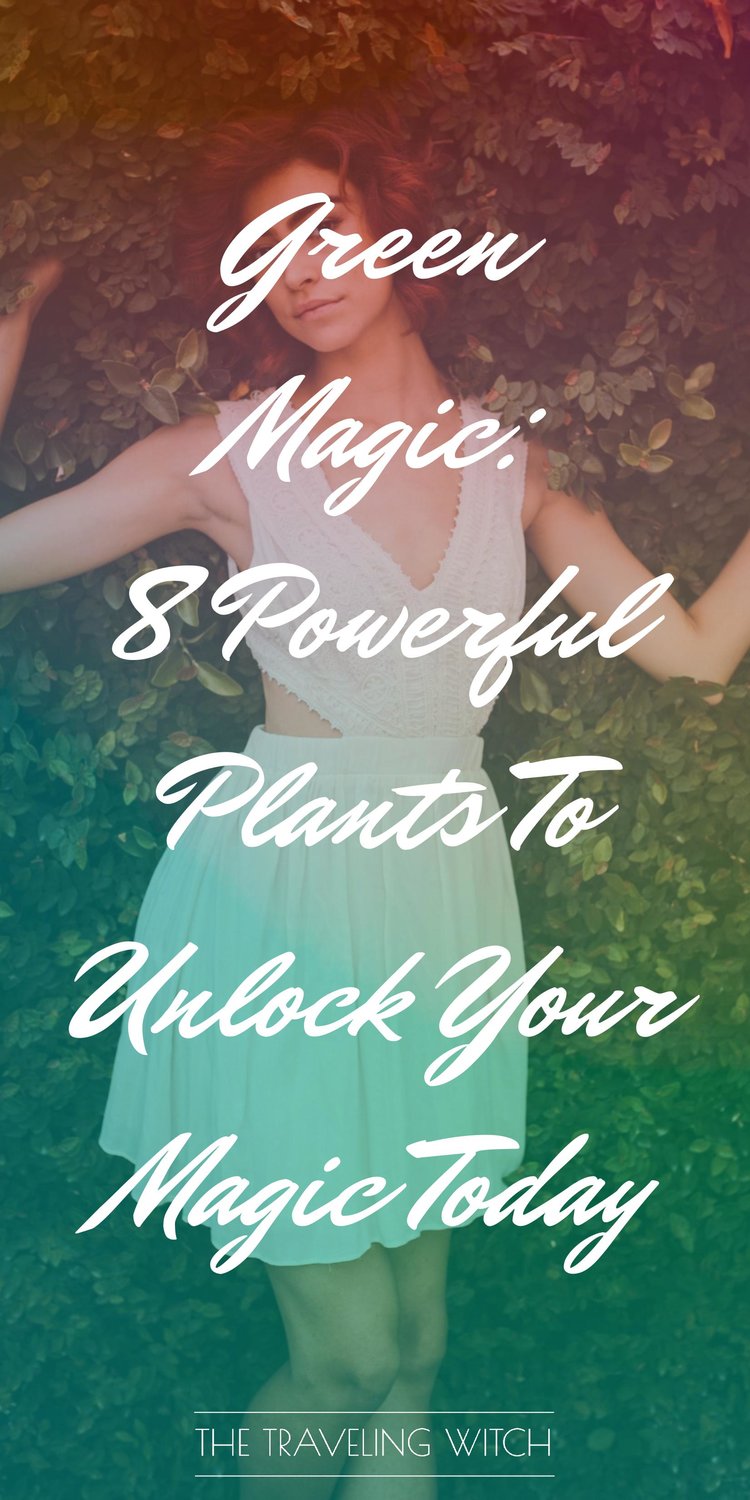 Green Magic: 8 Powerful Plants To Unlock Your Magic Today by The Traveling Witch #Witchcraft #Magic