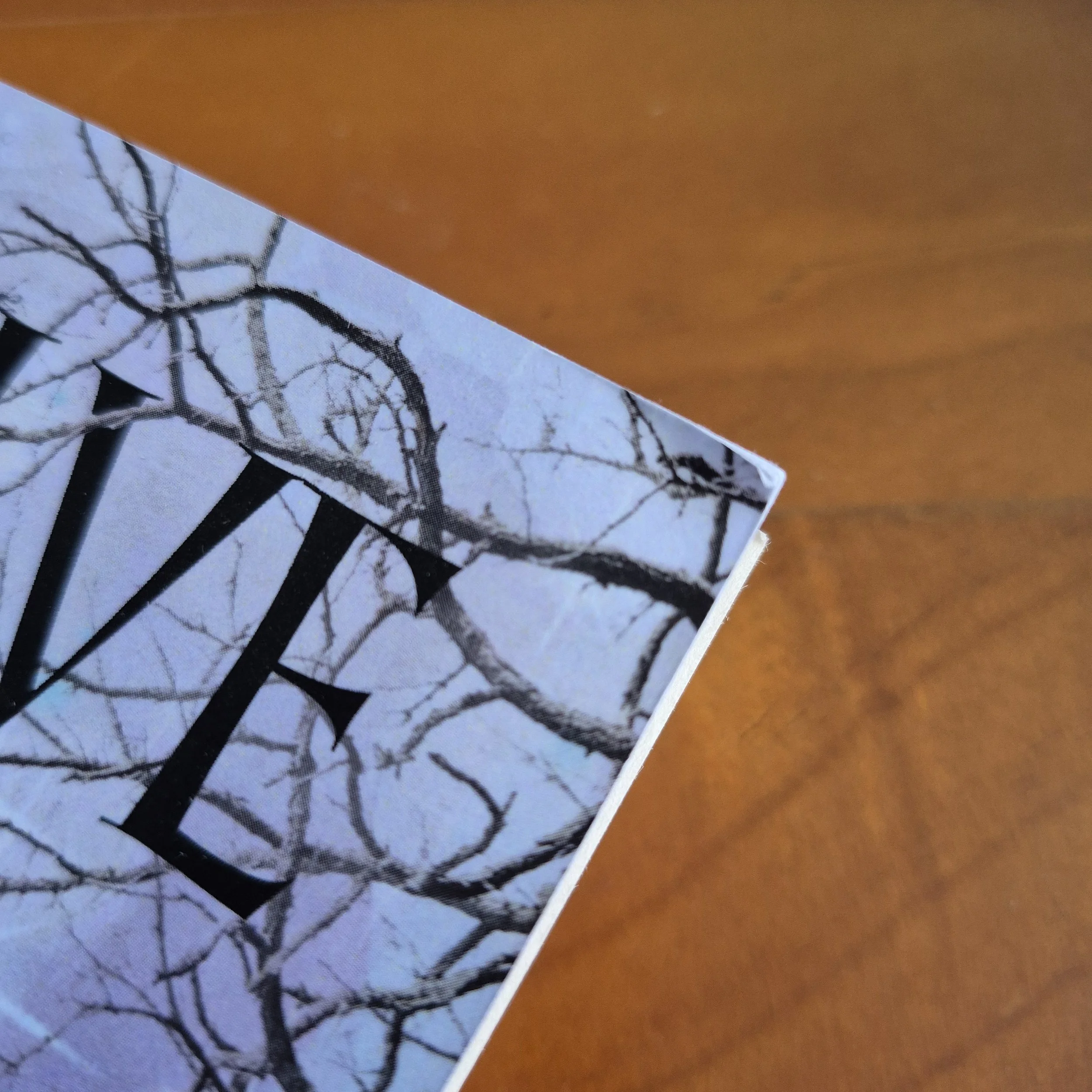 The corner of a book against a wooden background. The corner is bent slightly, damaging the edge.