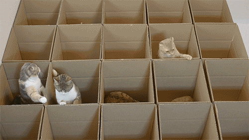 Keep everything organized... as possible :3