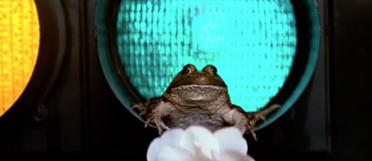This shot gets some major WTF points.