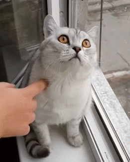 Me thinking about all the things