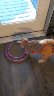 giphy-downsized-large.gif