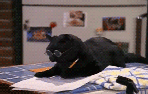 cat-writing.gif