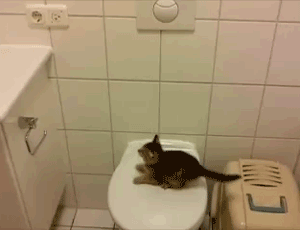 Short, entertaining, requires no context.
