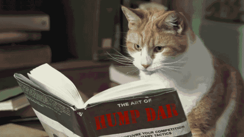 giphy-1.gif