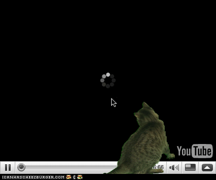 cat-youtube.gif