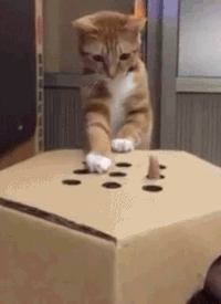ezgif-4-4edbb5ab4d8e.gif