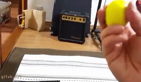 giphy-2.gif
