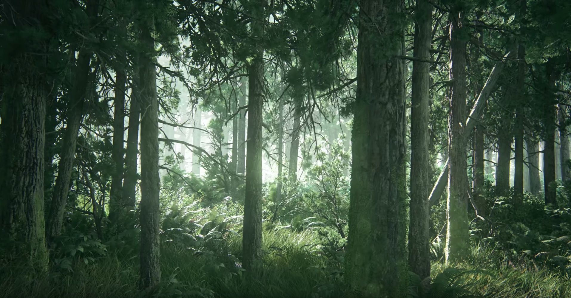 The trailer opens on a shot of a forest; this betrays no details about what the game is, the time period or setting. The only thing we can glean from this shot is this is a big budget AAA game which has very good looking foliage.