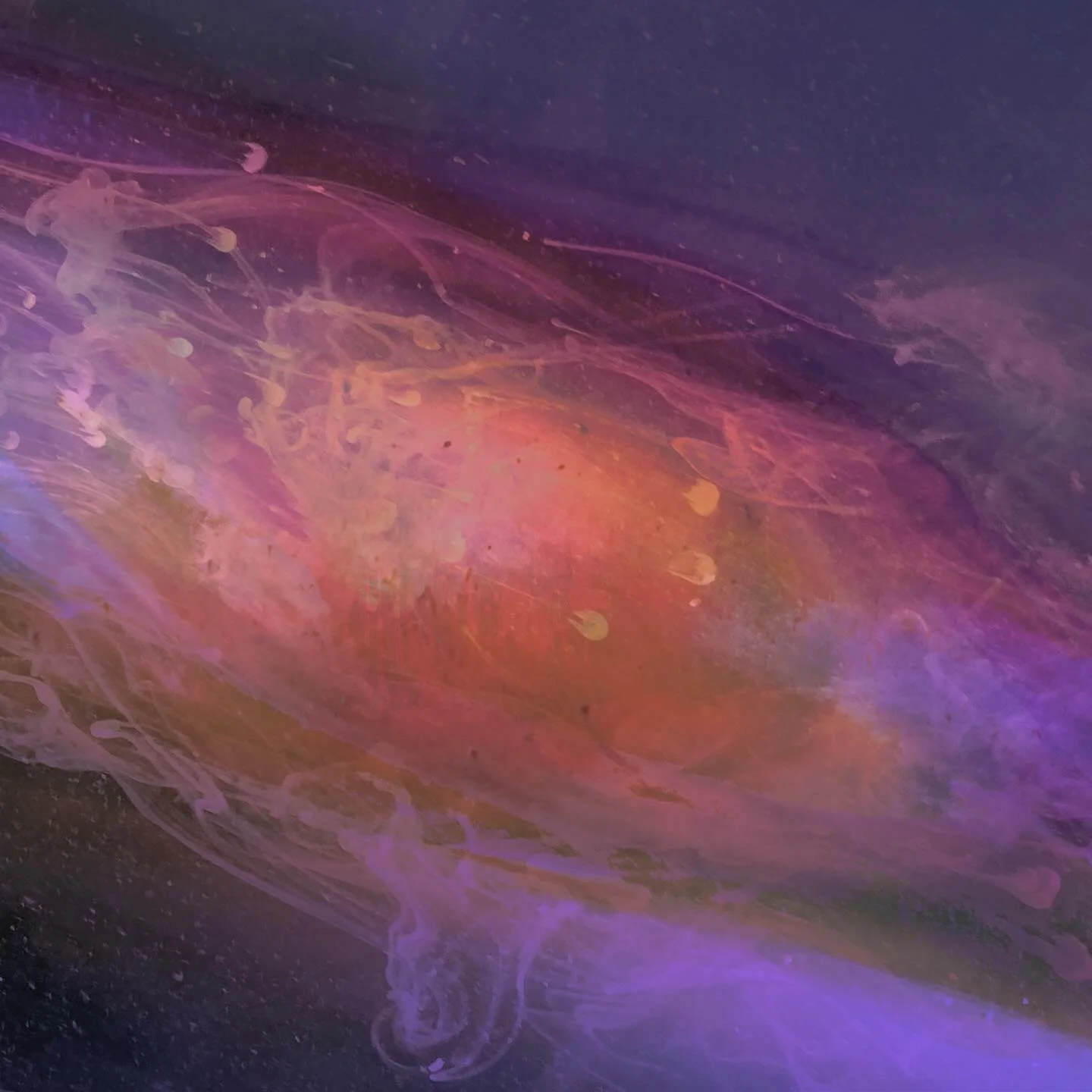 New Black Moon Howl single &ldquo;Bad Blood&rdquo; out now (link in bio).

Bass/Vox/Misc by @_i.not.i_
Guitar by @julianpetersonnn
Drums by @leor_manelis_drums
Rhodes by @digitalrelic
Mixed by @mark_abrams_audio
Mastered by @magicgardenmastering
Art 