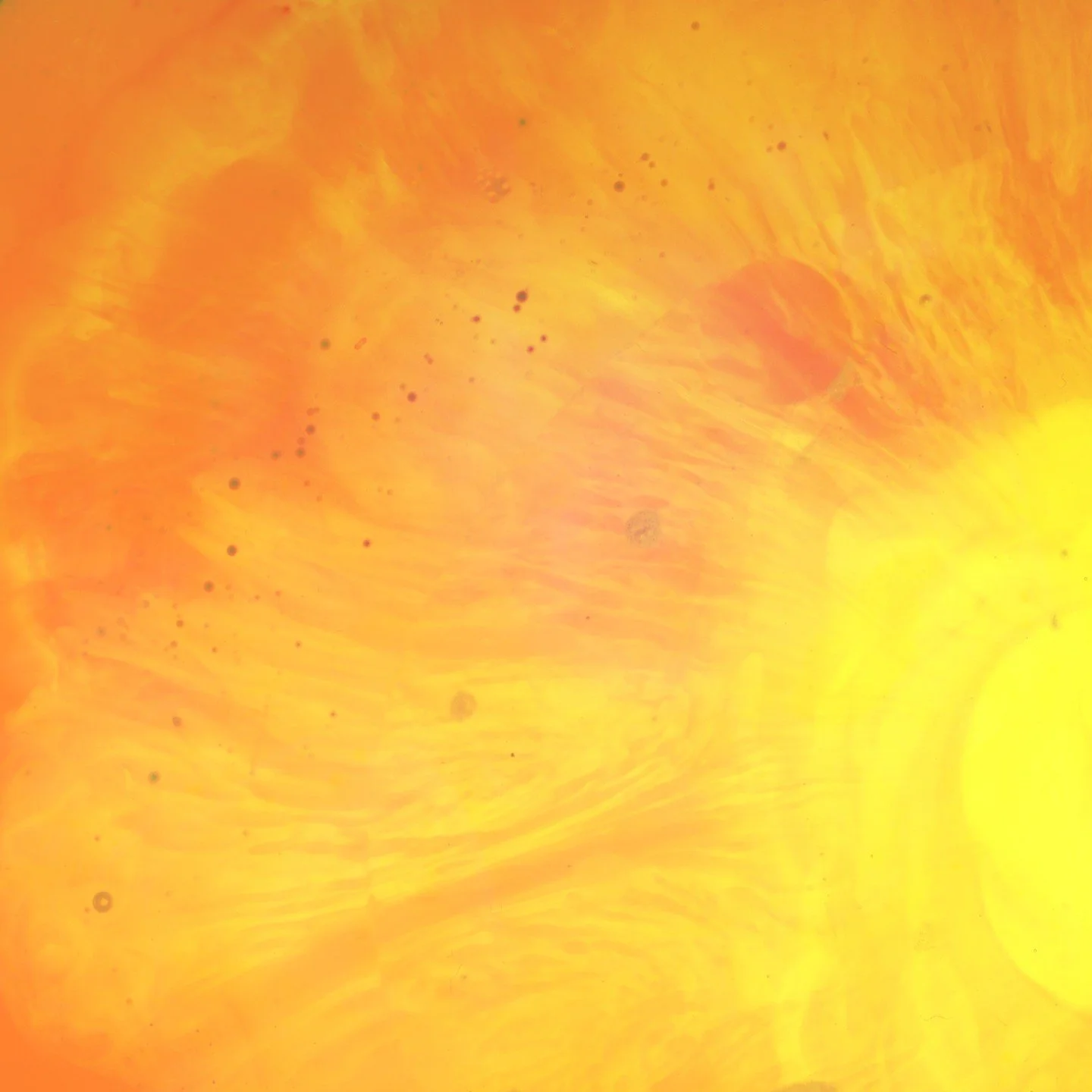 New Black Moon Howl single &quot;Iodine Yellow&quot; out now (link in bio). Mixed by @mark_abrams_audio Mastered by @magicgardenmastering Art by @alejandraabad__ Bass/Vox/Misc by @_i.not.i_ Guitar by @julianpetersonnn Drums by @leor_manelis_drums Rho