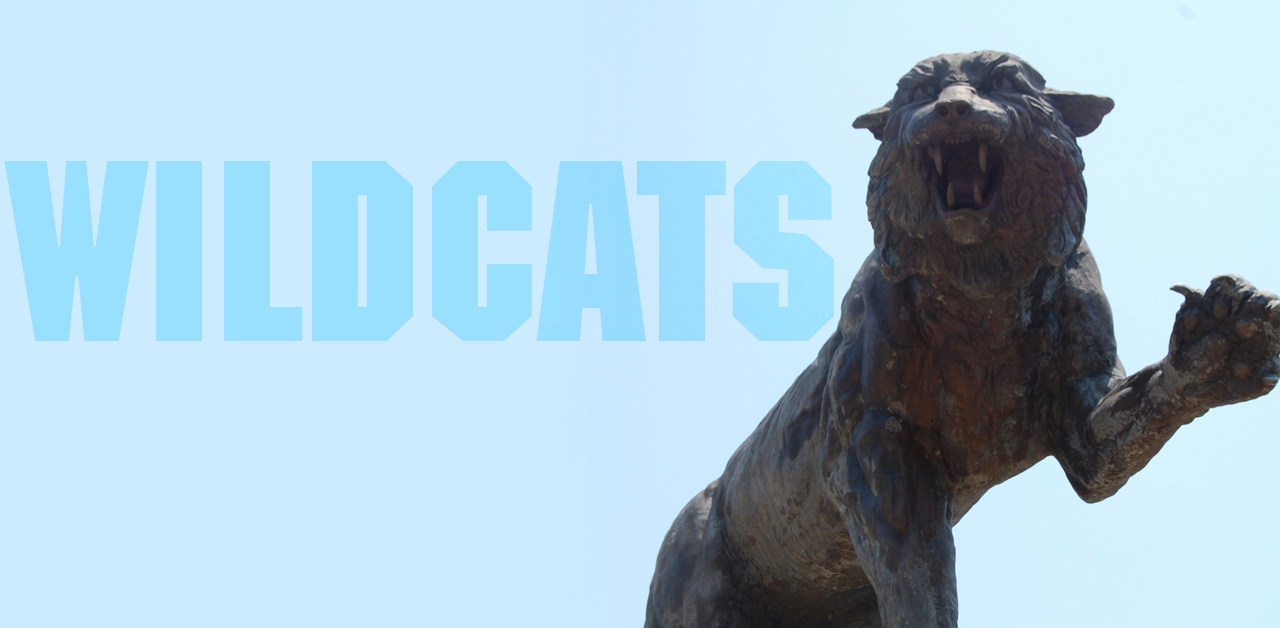 Wildcat News