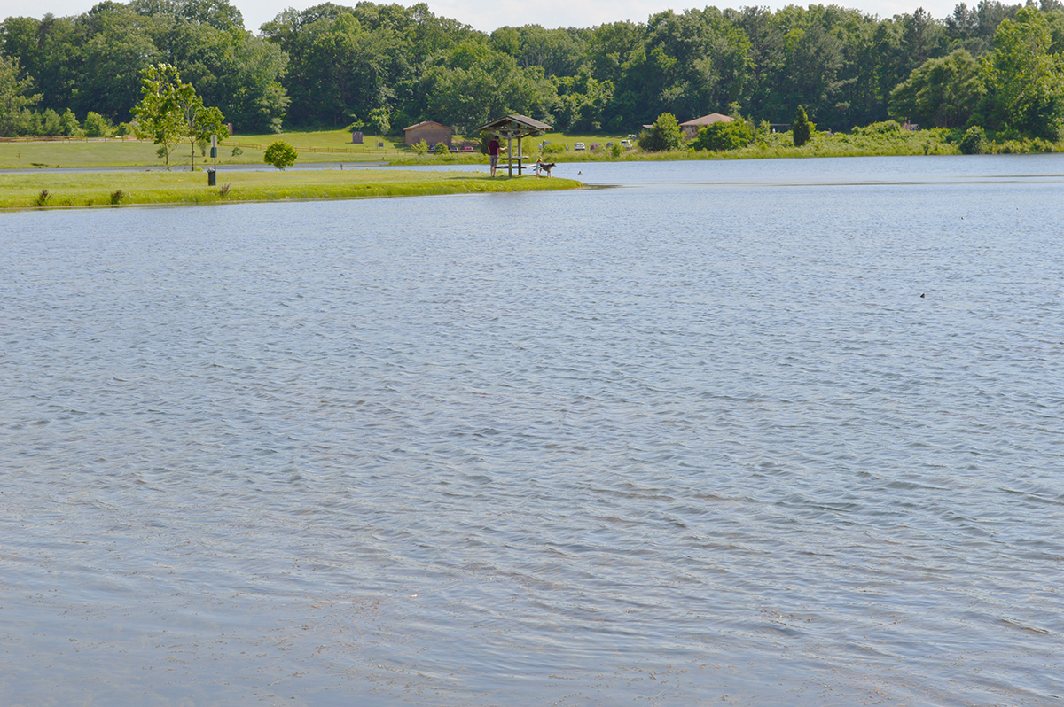 fvsudc_golf_tourney_2017_65.jpg