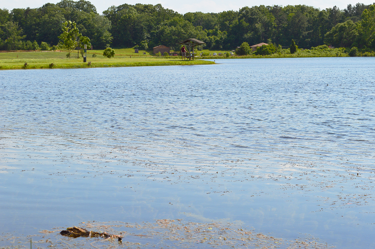 fvsudc_golf_tourney_2017_66.jpg