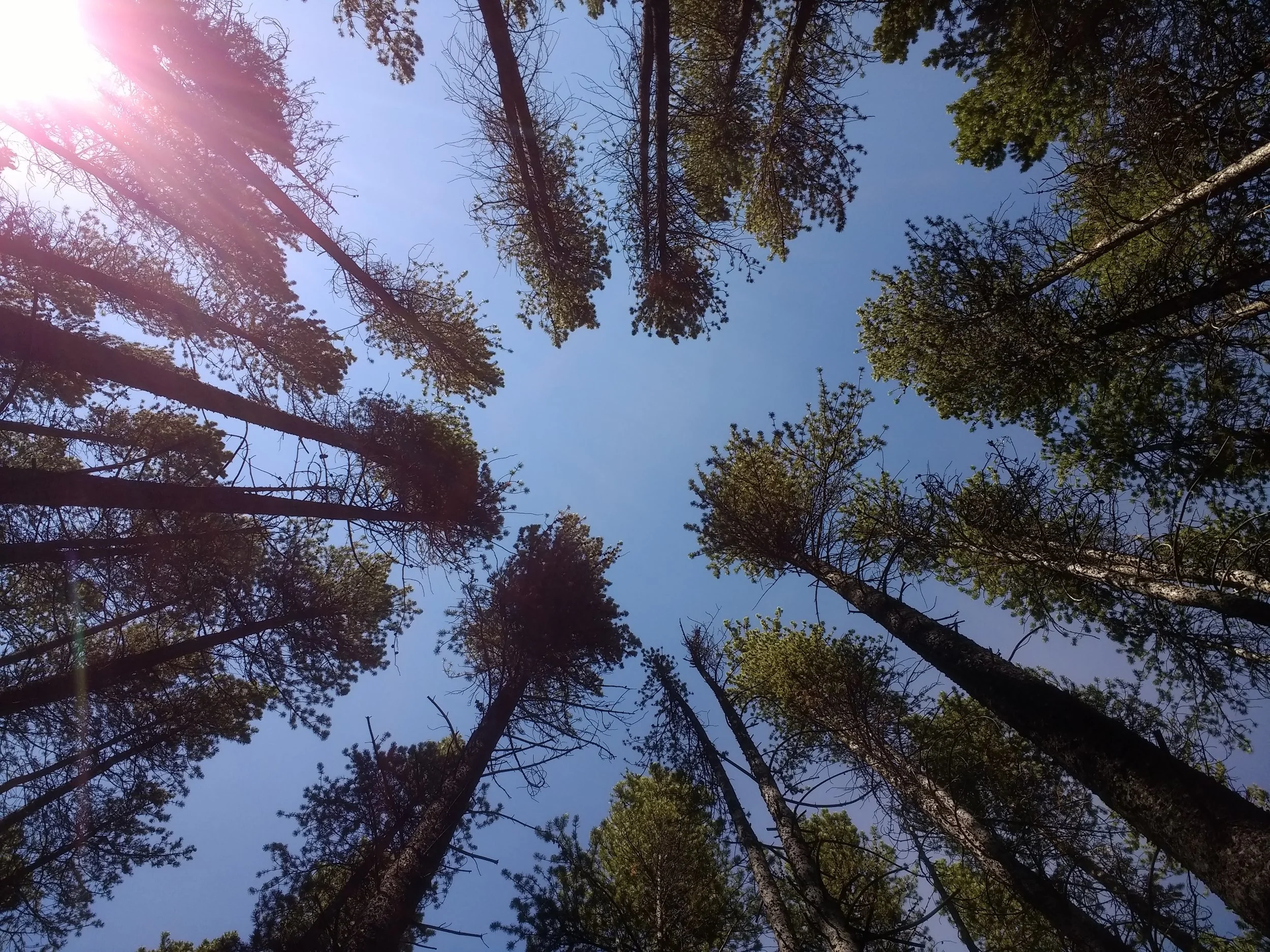 Hike CO IMG_20180929_133433486.jpg