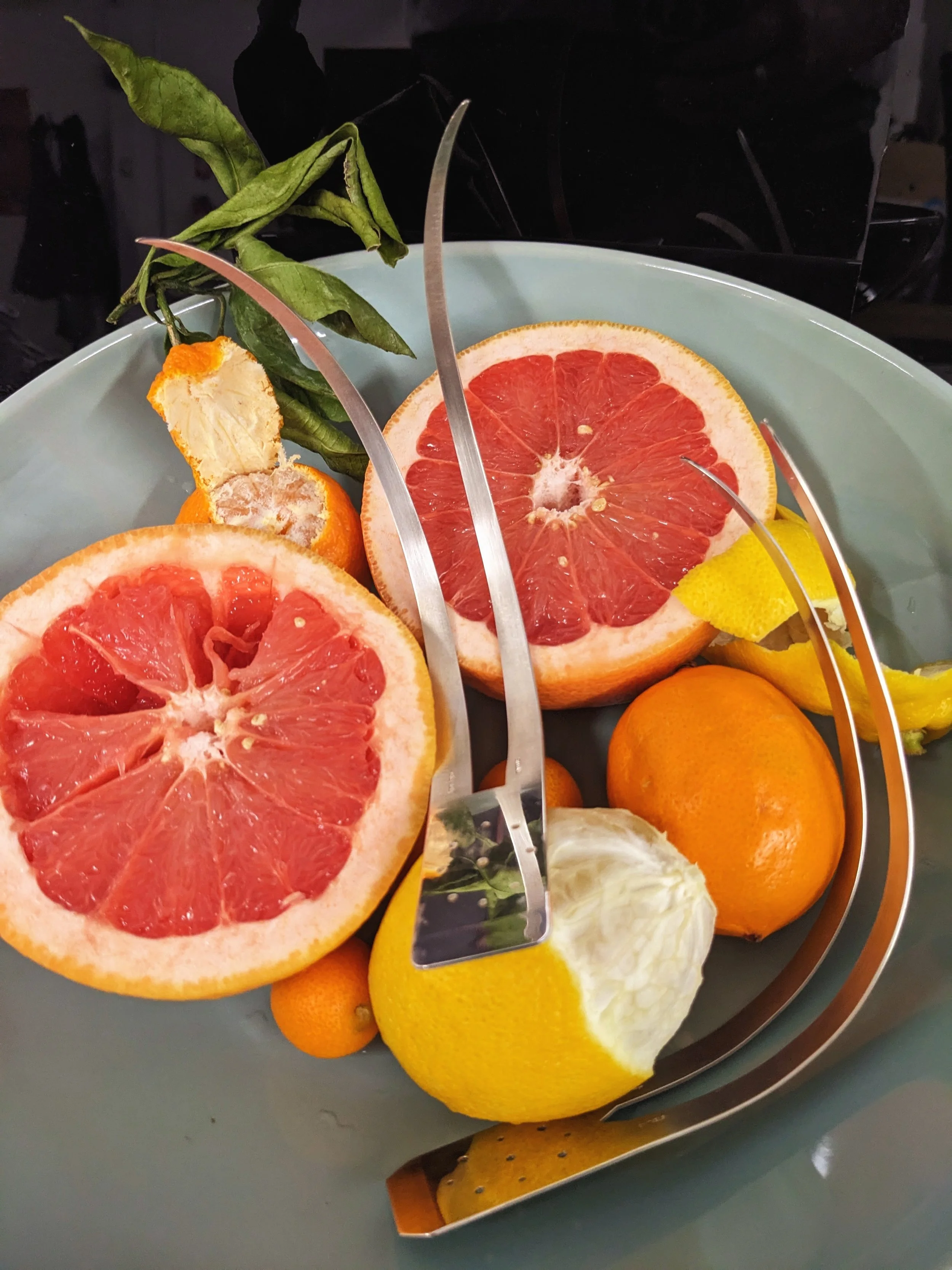 Daily_Erin_ness citrus.jpg