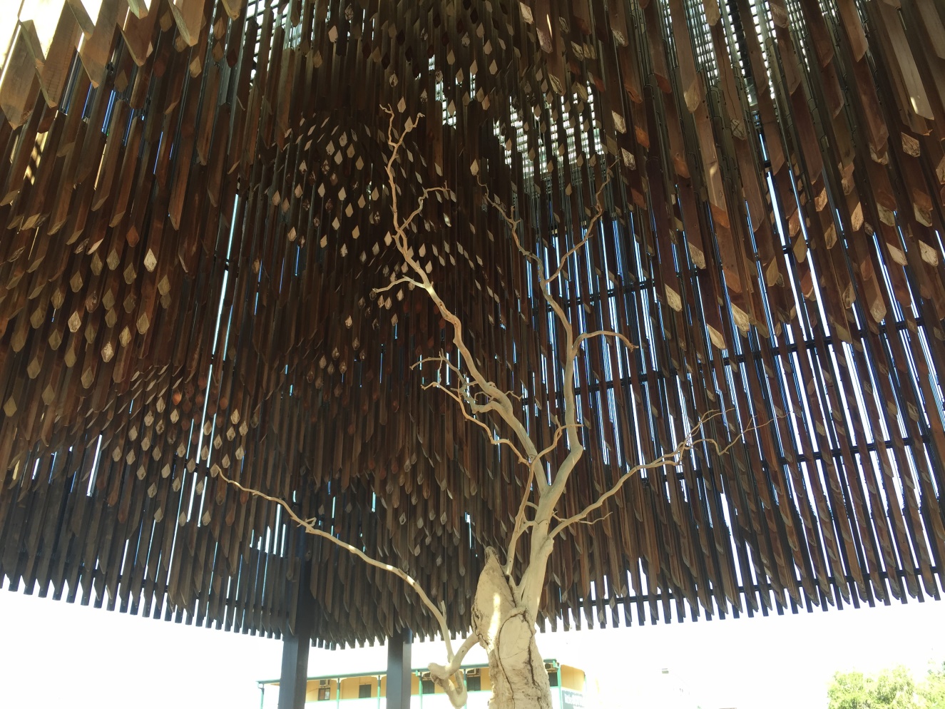 treeofknowledge.jpg