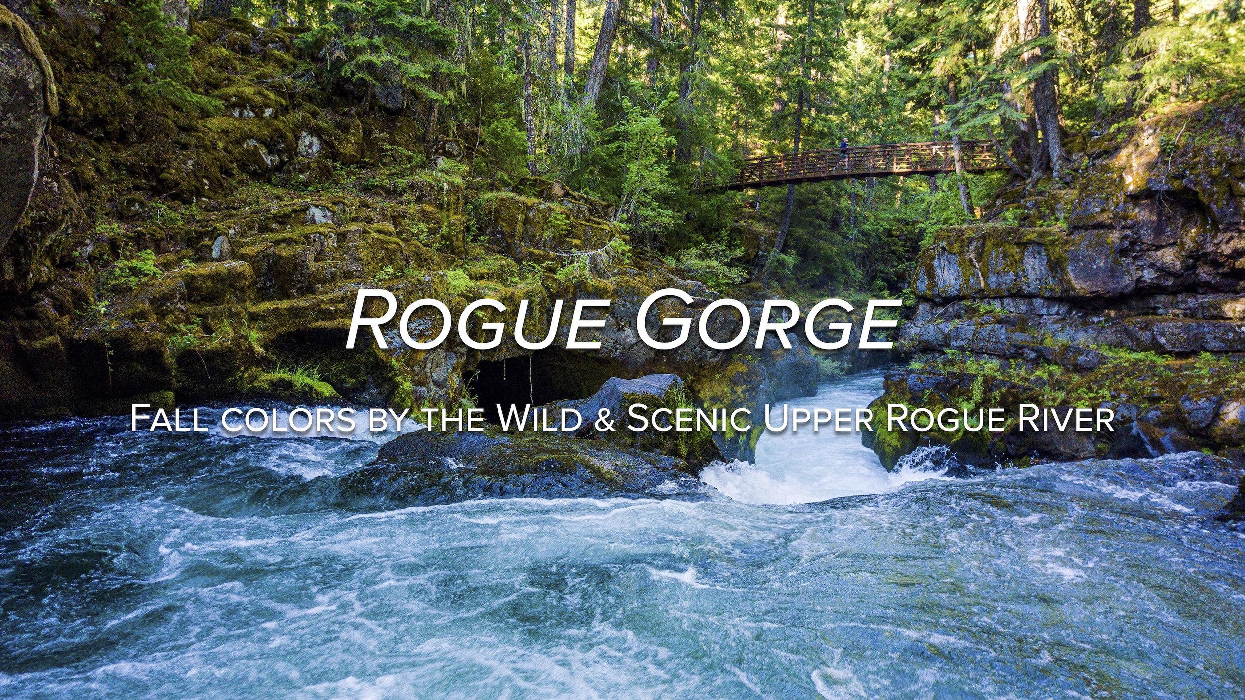 Rogue Gorge