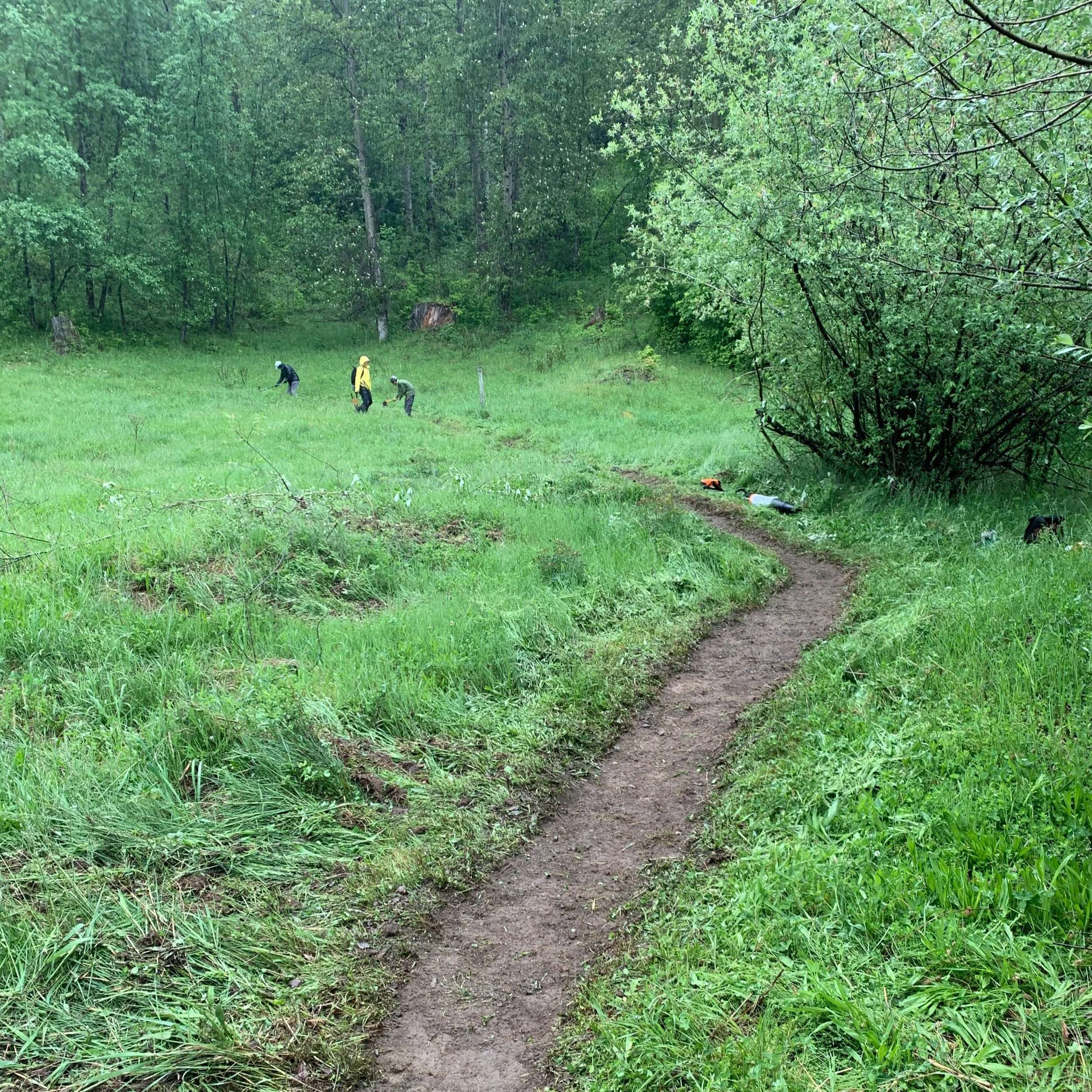 Backcountry Rise Trail Work Party